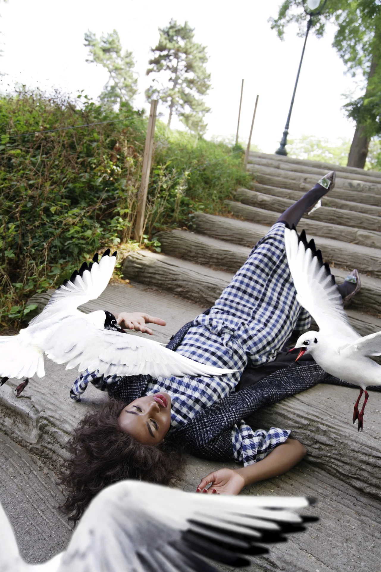 Birds — Stairfall