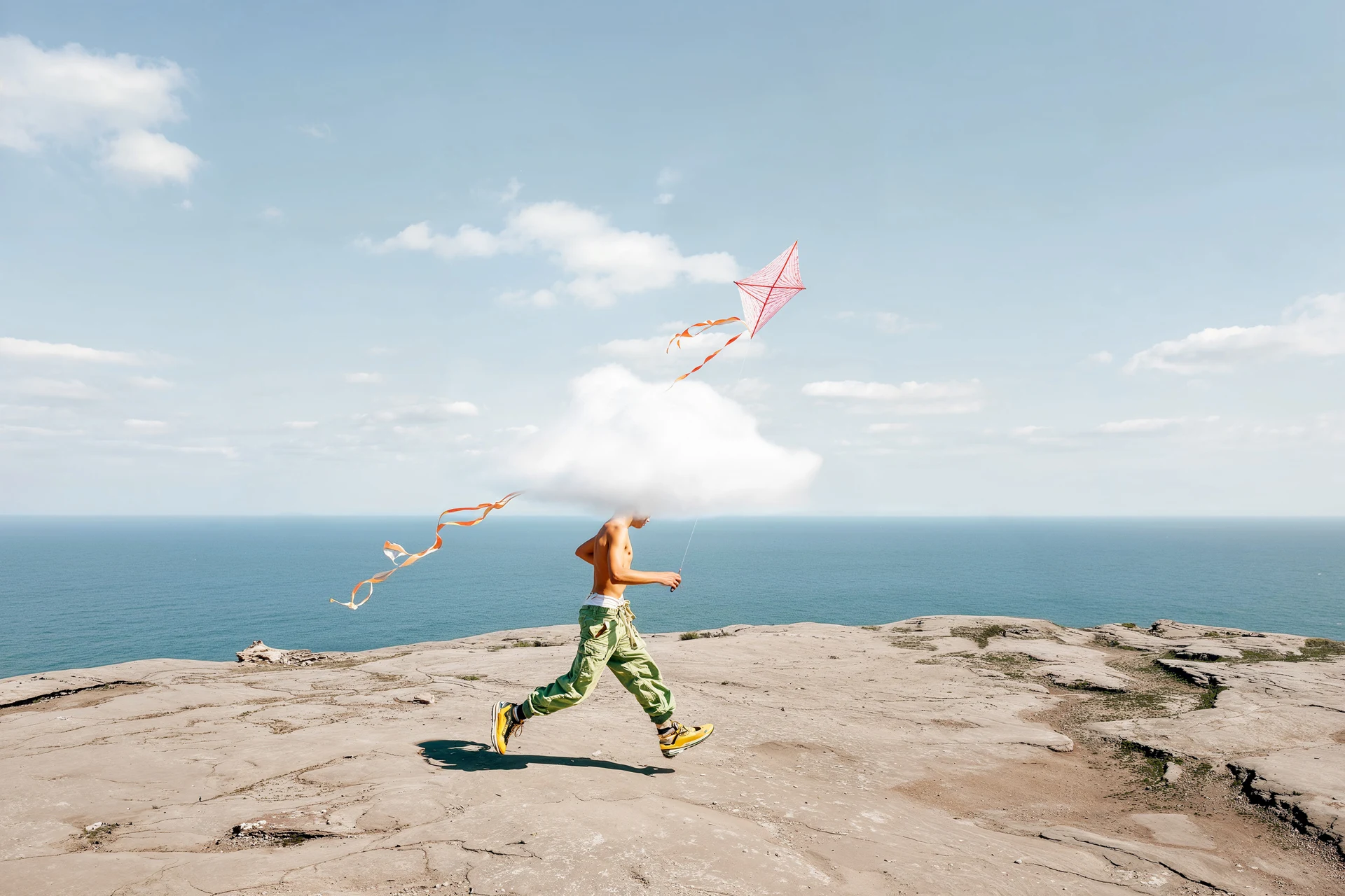 I Had My Own Drone